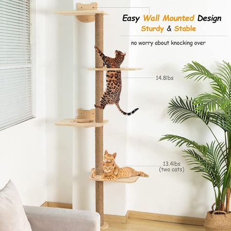 AmazonSmile : Cat Tree Wall Mounted Tall Scratching Post for Indoor Cats Climbing Tower Activity Wood Cat Wall Furniture 73 inch : Pet Supplies Cat Tree Wall, Cats Climbing, Cat Climbing Tower, Climbing Tower, Cat Wall Shelves, Cat Wall Furniture, Wall Furniture, Expensive Furniture, Wall Shelves Design