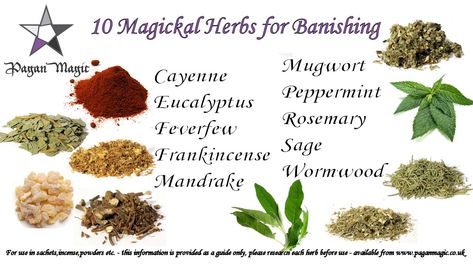 Banishing Herbs And Oils, Banishing Herbs Witchcraft, Herbs For Hexing, Herbs For Uncrossing, Herbs For Curses, Hex Breaking Herbs, Curse Herbs, Hexing Herbs, Herbs For Banishing