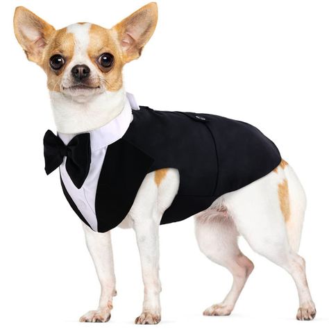 Small Dog Bowtie Tuxedo Suit Pet Costume Set, Puppy Cat Formal Shirt with Adjustable Bow Tie Wedding Party Photo Shot Clothes Chihuahua Halloween Costumes, Dog Tuxedo Wedding, Dogs Wedding, Puppy Wedding, Small Dog Costumes, Dog Wedding Outfits, Formal Dog, Bow Tie Suit, Dog Tuxedo