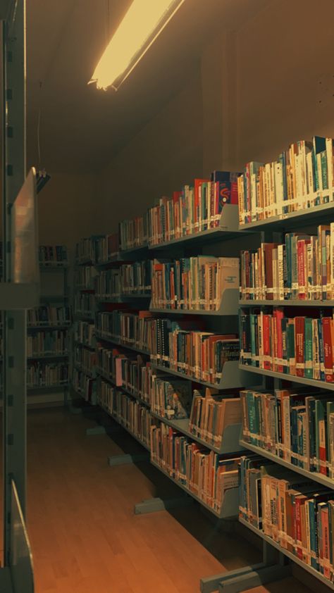 Library At Night Aesthetic, Mini Library Aesthetic, Creepy Library Aesthetic, Taylor Russell Bones And All, Public Library Aesthetic, Liminal Library, Creepy Library, Books Aesthetic Library, Library Core