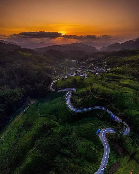 Explore Green Sri Lanka: Nature’s Paradise🌿 . . . . . . . . . 📸 Image Credit goes to respective owner 🌐 Website: www.blueskygalletaxis.com 📧 Email: tours@blueskygalletaxis.com 📱 Whatsapp: +94764326808 📸 Follow us on Instagram: https://www.instagram.com/bluesky_galle_taxis/ 👍 Like our Facebook Page: https://web.facebook.com/people/BlueSky-Galle-Taxis/100094866371671/ #srilanka #travel #tourism #visitsrilanka #ceylon #BlueSkyGalleTaxis #tours #taxi #group #2024 #lk #srilanka #tourism #visi... Sri Lanka Nature, Nuwara Eliya Sri Lanka, Growing Tea, Sri Lanka Photography, Nature Scene Tattoo, Nuwara Eliya, Sri Lanka Travel, Hiking Tips, Nature Activities