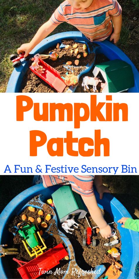 A fun and festive sensory table idea for toddlers and preschoolers! Does your child love the pumpkin patch? Make them a pretend play pumpkin patch sensory table using a water table. This fall toddler activity is so easy to set up and so much fun for kids! #fallactivitiesfortoddlers #fallactivitiesforpreschoolers #sensorytableideas #fallsensorybins #toddleractivities Toddler Twins, Fall Sensory Bin, Fall Activities For Toddlers, Pumpkin Patch Farm, Toddler Meal Ideas, Educational Toddler Activities, Outdoor Activities For Toddlers, Halloween Sensory, Fall Preschool Activities