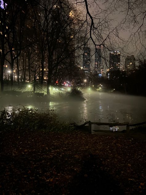 Northeast Gothic, New York Gothic, Central Park Aesthetic, Freida Mcfadden, Scary Photos, Catcher In The Rye, New York Central, New York Aesthetic, Ghostbusters