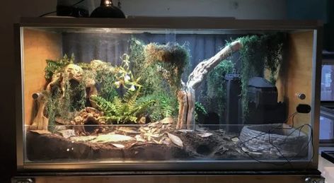 Product Review: Zen Habitats 4'x2'x2' Reptile Enclosure | ReptiFiles Pvc Snake Enclosure, Zen Habitat Bearded Dragon, Uromastyx Enclosure, Zen Habitats, Lizard Enclosure, Snake Habitat, Uromastyx Lizard, Leopard Gecko Habitat, Desert Lizards