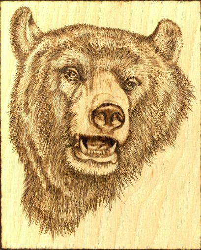 Wood Burning Patterns of Bears - Yahoo Image Search Results Beginner Wood Burning, Wood Burning Stencils, Pyrography Patterns, Bear Tattoos, Animal Stencil, Woodburning Projects, Bear Drawing, Pyrography Art, Wood Burning Crafts