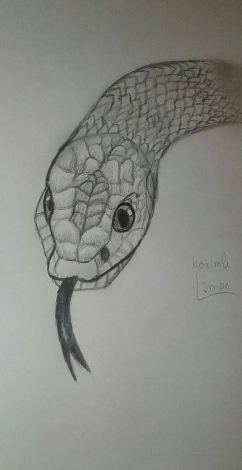 Snake Sketch Easy, Drawing Ideas Snake, Sketch Snake, Snake Sketch, Drawing Ideas Sketch, Sharpie Drawings, Ideas Sketch, Snake Drawing, Scratchboard Art