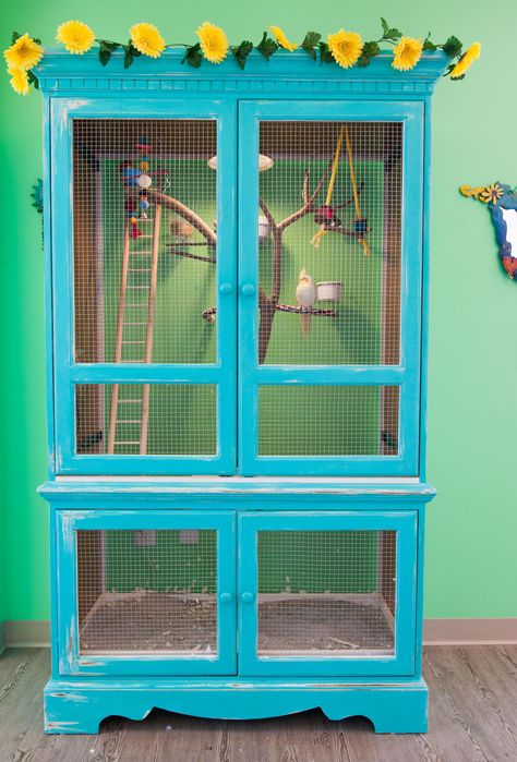 Our homemade bird aviary greats the children every morning. Diy Aviary, Garden Preschool, Diy Bird Cage, Zoo Theme, Bird Aviary, Diy Birds, Bird Cages, Tropical Houses, Class Ideas