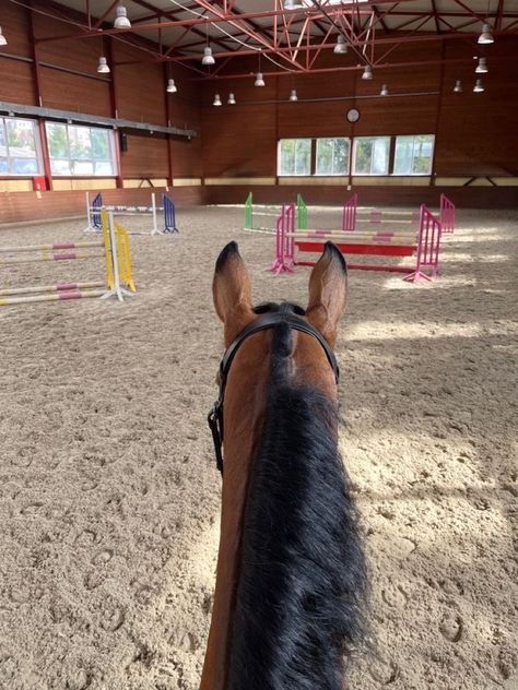 Equitation Aesthetic, Horsey Life, Horse Riding Aesthetic, Horse Lessons, Show Jumping Horses, Cute Horse Pictures, Equestrian Aesthetic, Bay Horse, Horse Aesthetic