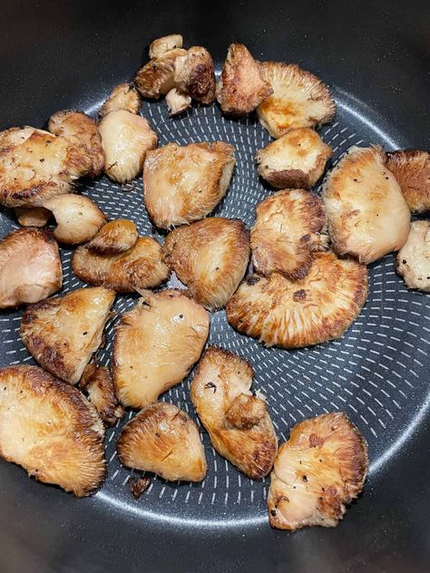 Cooking Lion's Mane Mushroom - From Michigan To The Table Lions Mane Shrimp, Air Fryer Lions Mane Mushrooms, Grilled Lions Mane Mushroom, Lions Mane Mushroom Recipe Air Fryer, Cooking Lions Mane Mushroom, Lion Mushroom Recipes, Lions Mane Mushroom Recipes, Lions Mane Mushroom Recipe, Mushroom Food