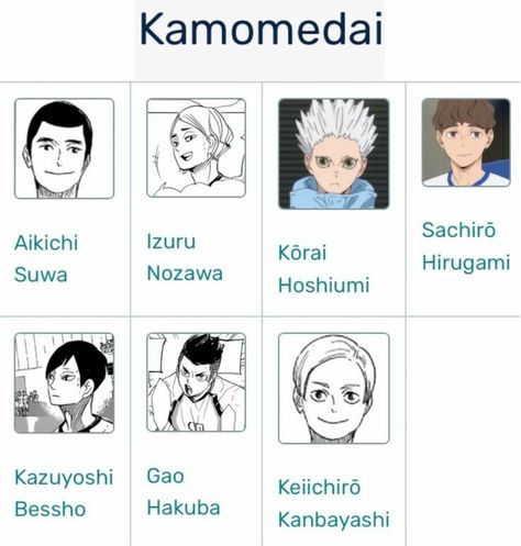 #Haikyuu Haikyuu Teams Names, Haikyuu Characters Names, Kamomedai Haikyuu, Haikyuu Teams, Kuroo Haikyuu, Volleyball Anime, Anime Undertale, Haikyuu Funny, Haikyuu 3