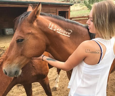 Champ the BLM Mustang and his owner •• brookechamp101 on Instagram #Tattoo #Brand #Horse #Western Mustang Brand Tattoo, Mustang Horse Tattoo, Horse Memorial Tattoo, Equestrian Tattoo, Horse Tattoo Ideas, Equine Tattoo, Mustang Tattoo, Mustang Makeover, Horse Tattoos