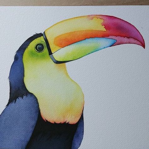 Toucan Art, Aquarelle Art, Basic Drawing, Watercolor Bird, Bird Print, Beach Theme, Custom Cards, Bird Prints, Beach Themes