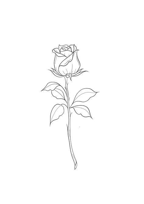 Rose Doodle Tattoo, Simple Rose Outline Tattoo, 3 Roses Drawing, Small Rose Tattoo Simple, Rose Outline Tattoo, Minimalistic Tattoo Ideas, Rose Tattoo On Back, Rose Tattoo Stencil, Rose Line Art