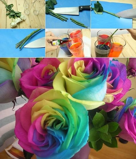 DIY Make Rainbow Roses What a creative idea to make rainbow roses in this way. This is gonna be a very special gift to your loved one. Food Coloring Flowers, Bra Hacks Diy, Tie Dye Roses, Pie Decoration, Rainbow Project, Giant Paper Roses, Dyed Flowers, Origami Lucky Star, Rainbow Fairy