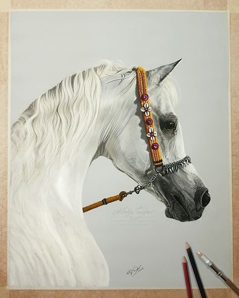 White Arabian Horse, Arabic Horse, Arabian Horse Art, Hyperrealism Paintings, Horses Art, Beautiful Horse Pictures, Horse Anatomy, Beautiful Arabian Horses, Hd Nature Wallpapers