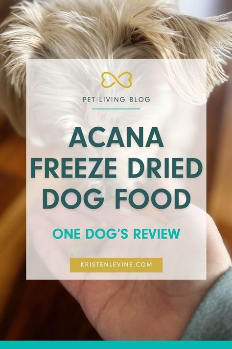 Considering Acana dog food for your dog? Here's everything you need to know! In this blog post, you'll learn the pros and cons of this freeze dried dog food. Good Food For Dogs, Acana Dog Food, Beef Kidney, Best Dog Food Brands, Freeze Dried Dog Food, Food For Dogs, Sea Vegetables, Dog Health Tips, Chicory Root