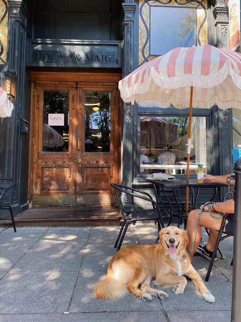 Dog At Restaurant, Dog Friendly Coffee Shop, Dog Cafe Aesthetic, Pet Friendly Cafe, Dog Coffee Shop, Dog And Coffee, Salty Dog Cafe, Dog Restaurant, Pet Station