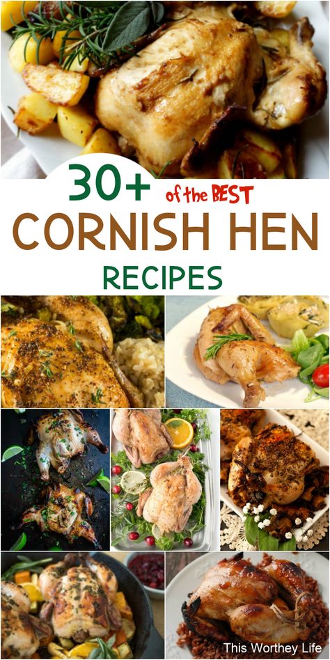 Cornish Hen Recipe Easy, Cornish Hen Recipes, Hen Recipes, Game Hen Recipes, Cornish Game Hen Recipes, Roasted Cornish Hen, Holiday Dinner Recipes, Cornish Hen Recipe, Cornish Hen