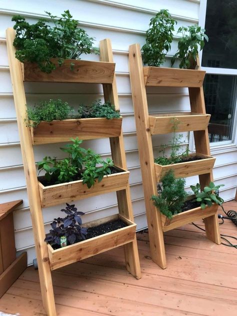 Herb Garden For Patio, Vertical Garden Shelf, Vertical Herb Wall Outdoors, Small Garden Organization, Garden Bed Ideas Small Space, Gardens For Small Yards, Herb Box Ideas, Planter Shelves Outdoor, Outdoor Shelving Ideas For Plants