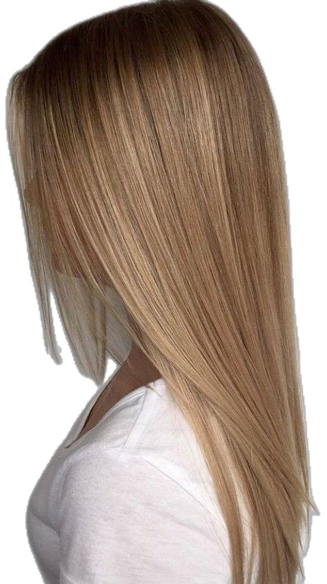 Harvest Blonde Hair, Unstyled Haircuts, Harvest Blonde, Avrey Ovard, Light Brunette Hair, Light Brunette, Cute Hair Colors, Dyed Blonde Hair, Balayage Hair Dark