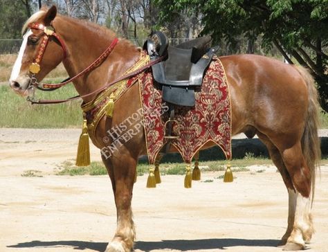 Horse Barding, Unusual Horse, Horse Costume, Medieval Horse, Horse Riding Clothes, Horse Costumes, Horse Armor, Drawing Animals, Horse Boarding