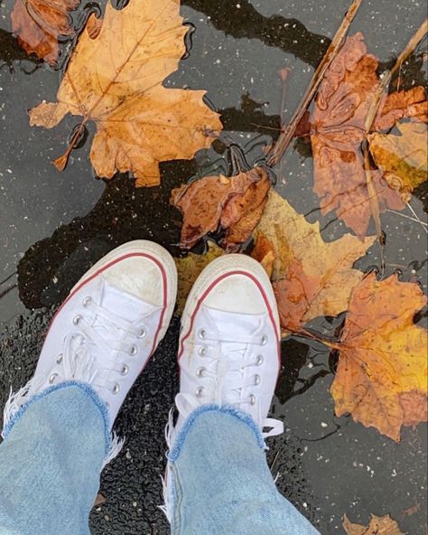 Heartstopper Autumn, Months Aesthetic, Australian Autumn, St Kilda Melbourne, September Aesthetic, Rainy Autumn, Autumn Weather, Late Autumn, St Kilda