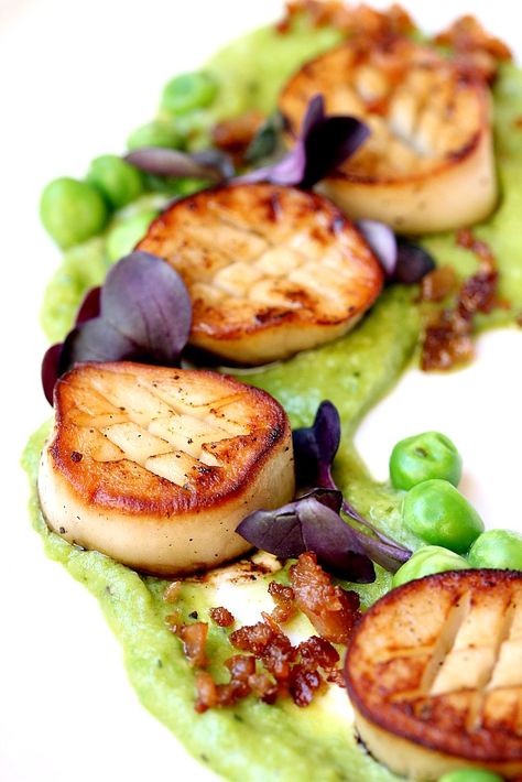 Vegan Scallops with Truffle Pea Puree and Crispy Vegan Bacon Bits Vegan Scallops, Pea Puree, Vegan Bacon Bits, Vegan Plate, Vegan Bacon, Gourmet Vegan, Vegan Appetizers, Green Peas, Bacon Bits