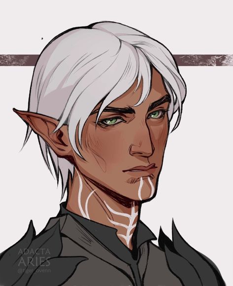 Dragon Age Qunari, Dragon Age Alistair, Dragon Age Funny, Dragon Age Romance, Male Elf, Dragon Age Characters, Dragon Age 3, Best Rpg, Dragon Age Games