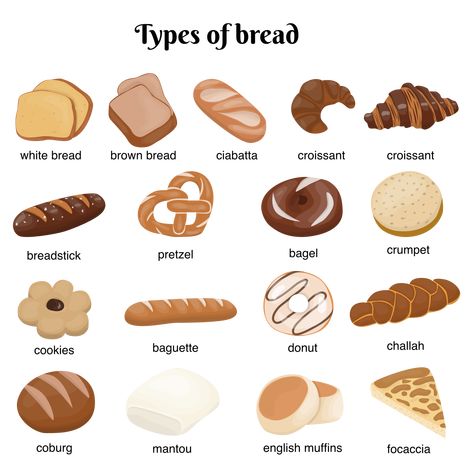 Aesthetic Bakery Food, Pastry Types, Bread Names, Types Of Pastries, Types Of Breads, Bread Aesthetic, Bread Illustration, Bread Types, Type Of Bread