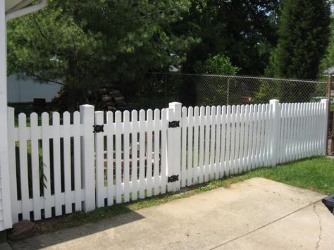 Dog Ear Picket Fence, Fence Design Ideas, Picket Gate, Low Fence, Wood Picket Fence, White Vinyl Fence, Australian Native Garden, White Fence, Fence Styles