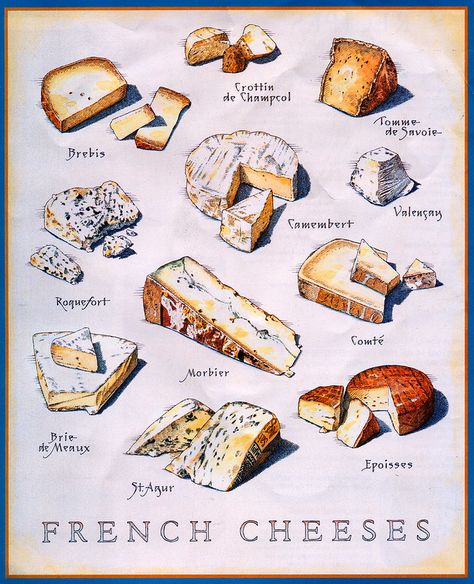 Know Your French Cheeses | Beautiful illustrations of variou… | Flickr Cheese Illustration, Old Posters, Inspiration Illustration, Info Board, French Cheese, Cheese Party, Cooks Illustrated, Illustration Food, Wine Cheese