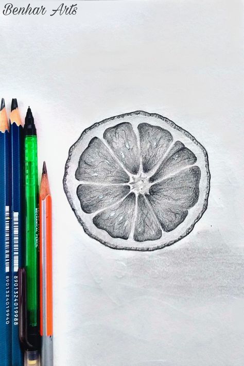 Fruit Sketches Pencil, Pencil Shading Object Drawing, Sliced Orange Drawing, Fruits Sketches Pencil, Fruit Drawing Pencil Sketches Easy, Orange Pencil Drawing, 3 Objects Drawing, Natural Objects Drawing, Orange Sketch Pencil