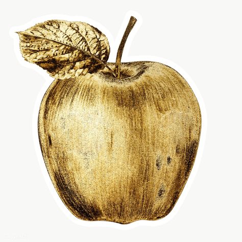 Gold apple fruit sticker with a white border | free image by rawpixel.com / HwangMangjoo Golden Apple Drawing, Golden Fruit, Bild Gold, Apple Png, Apple Sticker, Gold Fruit, Wedding Gifts For Newlyweds, Apple Stickers, Gold Stickers