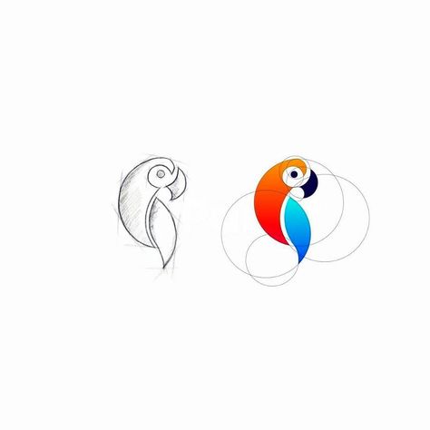 Parrot logo process 🦜 Need a new logo for your business? Contact: Creativelogodesigns01@gmail.com Parrot Graphic Design, Parrot Logo Design, Geometric Parrot, Animal Icon Design, Logo Sketch Design, Parrot Logo, Parrot Drawing, Unique Icons, Parrot Design