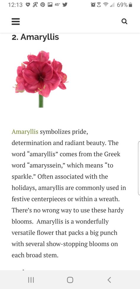 Amaryllis Flower Meaning, Amaryllis Meaning, Amarilis Flower, Amaryllis Tattoo, Pink Amaryllis, Mom Flowers, Swan Tattoo, Fallen Star, Amaryllis Flowers