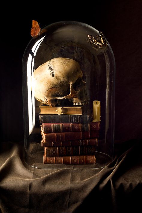 Here is my website Kevin Best Still Life Photographer I found this lovely dome last weekend, I couldn't resist it. Halloween Cloche, Titus Andronicus, Dekorasi Halloween, Vintage Halloween Decorations, Still Life Photographers, The Bell Jar, Halloween Vintage, Gothic Decor, Caravaggio