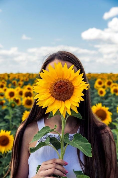 Sunflower Field Photography, Sunflower Field Pictures, Girl In White Dress, Sunflower Photography, Sunflower Photo, Sunflower Pictures, Sunflower Wallpaper, Fields Photography, Sunflower Fields