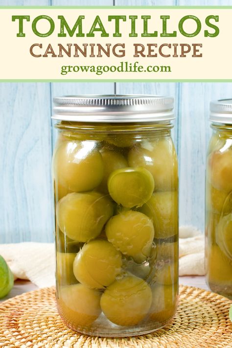 Preserve the abundance from your garden by canning tomatillos using a water bath canner or pressure canner, offering an easy way to preserve whole tomatillos for year-round enjoyment. How To Can Tomatillos, How To Preserve Tomatillos, Tomatillos Canning Recipes, Preserve Tomatillos, Canning Tomatillos, Pickled Squash Recipe, Water Canning, Canned Tomatillos, Tomatillo Recipes