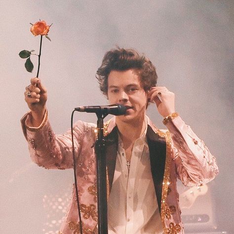 Harry Styles Pink, Pink Wall Collage, Layout Twitter, Gay Flag, Harry Styles Aesthetic, Live On Tour, Celebrity Style Red Carpet, Twitter Layouts, Photo Wall Collage