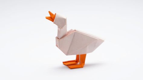 Origami Goose, Origami Knife, Origami Snake, Origami Cup, Origami Duck, Origami Ribbon, Origami Yoda, Origami Artist, Cute Origami