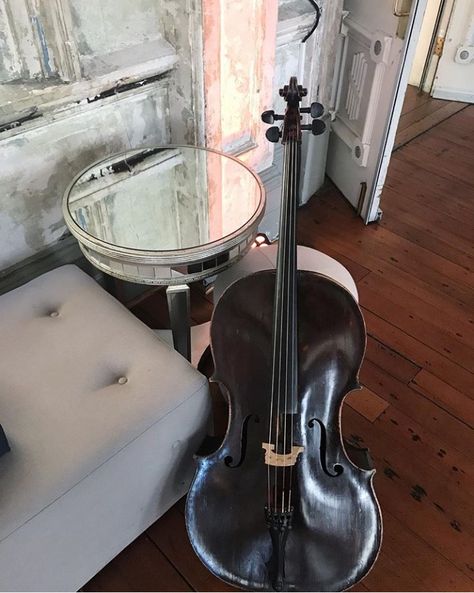 Geogeous black beauty cello Cello Aesthetic, Black Cello, Black Violin, Viola Instrument, Orchestra Music, Dark Academy, Cellos, Music Aesthetic, Black Beauty