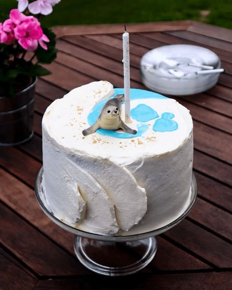 Seal Birthday Cake, Seal Cake, Lion Birthday Cake, Marshmallow Cake, Marvel Cake, Baker Cake, Cake Designs Images, Animal Cakes, Cute Baking