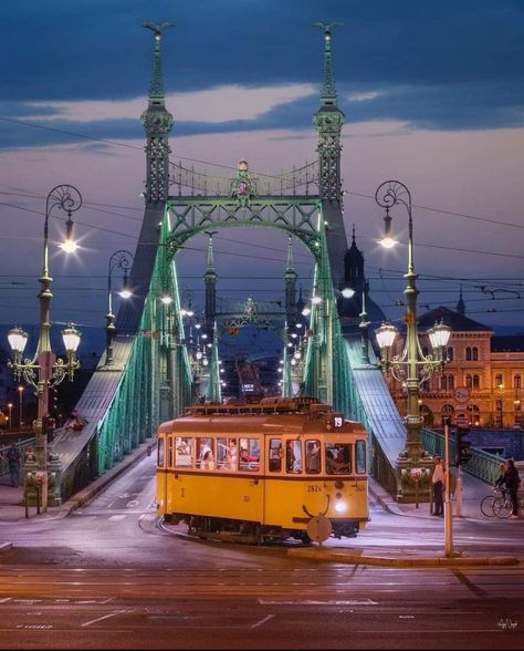 Liberty Bridge, Visit Budapest, Hungary Budapest, Europe Photos, Europe Map, Budapest Hungary, Wanderlust Travel, Best Cities, World Traveler