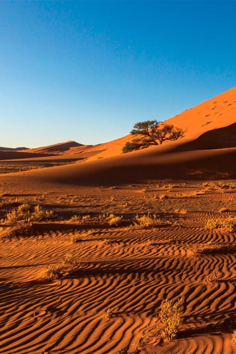 Kgalagadi Transfrontier Park, Botswana Aesthetic, Bantu People, Sud Africa, Northern Cape, Peace Corps, Southern Africa, Beautiful Places To Travel, Countries Of The World