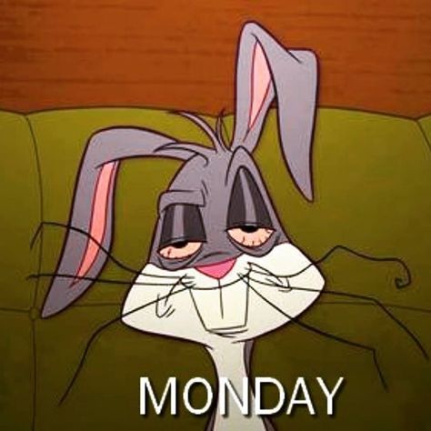 Tapsi Hapsi, Monday Sucks, I Hate Mondays, Manic Monday, Monday Memes, Monday Humor, Weekday Quotes, Monday Quotes, Work Memes