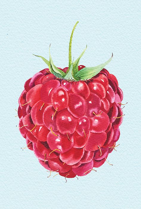 Drawing Ideas Watercolor, Drawing Fruit, Ideas Watercolor, Fruits Drawing, Fruit Juices, Watercolor Fruit, Fruit Illustration, Illustration Agency, Fruit Painting