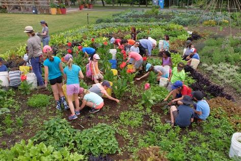 Ecosystem Project, Cute Japanese Guys, Backyard Ecosystem, Ecosystems Projects, Farm School, Montessori Room, Outdoor Education, School Yard, Outdoor Classroom