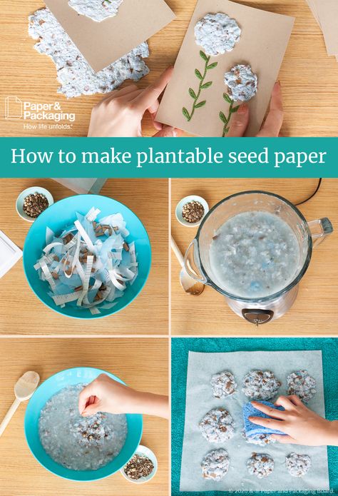 Spend some craft time with the kids making these paper seed cards they can mail to friends. It's the gift that'll keep on giving. 🌱 #seedpaper #DIYcards #plantablecard Diy Plantable Seed Paper, Kids Garden Projects, Homemade Seed Paper, Valentine’s Day Diy Gifts For Kids, Environmental Activities For Kids, Make Your Own Paper, Homeschool Projects, Plantable Seed Paper, Nature School