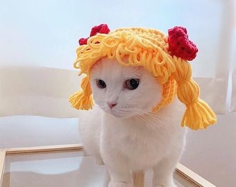 Puppy Hats, Crochet Cat Hat, Dog Hat, Cat Hat, Cat Accessories, Cat Costumes, Cat Decor, Pet Costumes, Pet Puppy