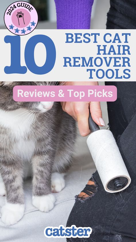 Here are 10 of the best cat hair remover tools based on extensive research, reviews, and expert testing. These remover tools will keep pet hair away from your belongings. Cat Behavior Facts, Funny Cat Names, Hair Remover Tool, Cat Hair Removal, How To Cat, Cat Litter Tray, Cat Health Care, Cat Shedding, Cat Info